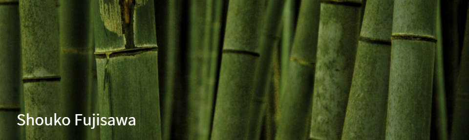 藤沢晶子の作品販売